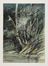  Lodovico Zambeletti  (Milano, 1881 - 1966) : Paesaggio.  Cecilia MacKinnon  (St. Catharines, 1882 - Parigi, )  - Asta Stampe, disegni, carte geografiche e vedute - Libreria Antiquaria Gonnelli - Casa d'Aste - Gonnelli Casa d'Aste