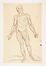  Scuola italiana della seconda met&agrave; del XVII secolo : Lotto di 17 studi anatomici.  - Asta Stampe, disegni, carte geografiche e vedute - Libreria Antiquaria Gonnelli - Casa d'Aste - Gonnelli Casa d'Aste