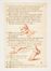  Scuola italiana della seconda metà del XVII secolo : Lotto di 17 studi anatomici.  - Asta Stampe, disegni, carte geografiche e vedute - Libreria Antiquaria Gonnelli - Casa d'Aste - Gonnelli Casa d'Aste