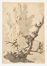  Petro Giacomo Palmieri  (Bologna, 1737 - Torino, 1804) [cerchia di] : Lotto di due paesaggi.  - Asta Stampe, disegni, carte geografiche e vedute - Libreria Antiquaria Gonnelli - Casa d'Aste - Gonnelli Casa d'Aste