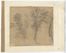Studi di mani e due figure (recto). Studi di tre alberi (verso).  - Auction Prints and Drawings - Libreria Antiquaria Gonnelli - Casa d'Aste - Gonnelli Casa d'Aste