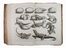 Seba Albert : Locupletissimi rerum naturalium thesauri accurata descriptio, et iconibus artificiosissimis expressio, per universam physices historiam [...] Tomus I (-II).  Jan Maurits Quinkhard, Jacobus Houbraken  (Dordrecht, 1698 - Amsterdam, 1780), Pieter Tanj  - Asta LIBRI, MANOSCRITTI, STAMPE E DISEGNI - Libreria Antiquaria Gonnelli - Casa d'Aste - Gonnelli Casa d'Aste