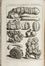  Dézallier D'Argenville Antoine Joseph : L'Histoire naturelle éclaircie dans une de ses parties principales, l'oryctologie, qui traite des terres, des pierres, des métaux, des minéraux, et autres fossiles...  Hyacinthe Collin de Vermont  (Versailles, 1693 - 1761), Quentin Pierre Chedel  (1705 - 1762)  - Asta Manoscritti, Libri, Autografi, Stampe & Disegni - Libreria Antiquaria Gonnelli - Casa d'Aste - Gonnelli Casa d'Aste
