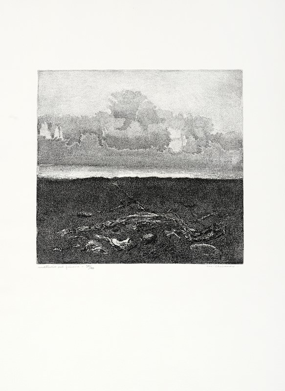 Lotto konvolut composto di 48 stampe e disegni dei secoli XIX, XX e XXI.