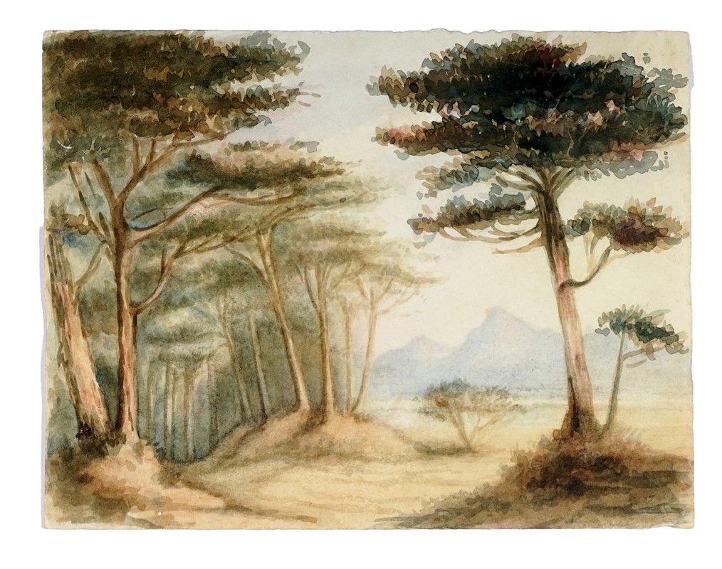 Lotto composto di 13 disegni e incisioni del XX secolo.