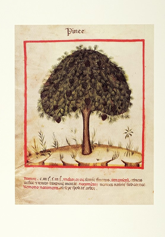 Lotto konvolut di 99 tra incisioni, disegni e portfolio.