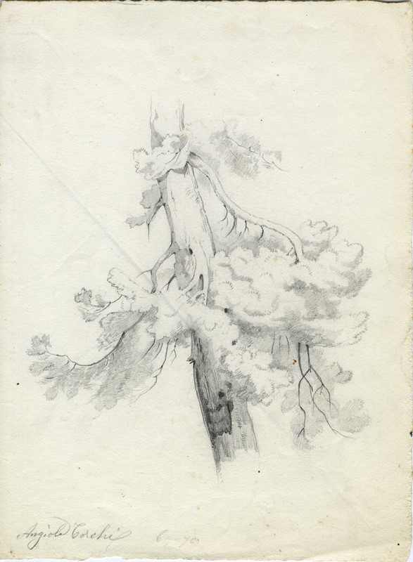 Lotto composto di 35 disegni.