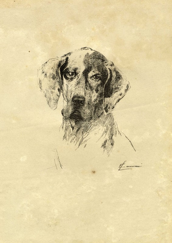 Lotto composto di 51 incisioni.