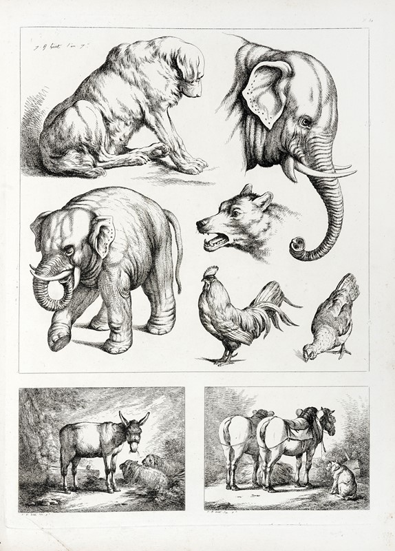 Oeuvre de J. B. Huet