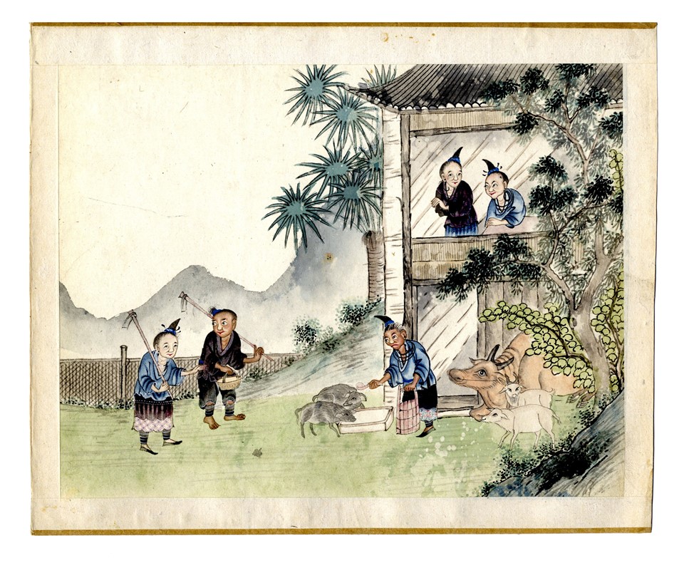 Quindici illustrazioni con scene agresti.