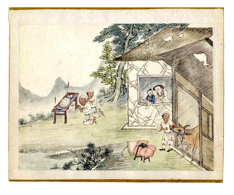 Quindici illustrazioni con scene agresti.