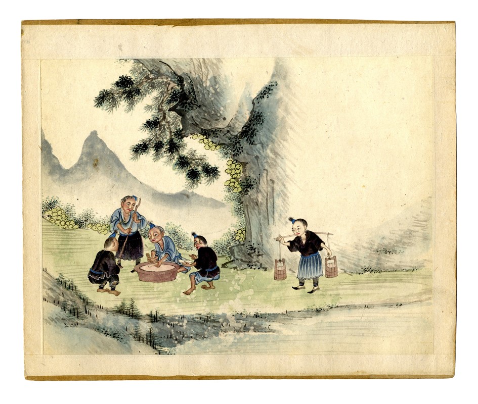 Quindici illustrazioni con scene agresti.