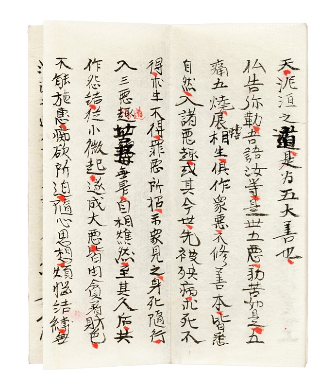 Bussetsu Muryoju-Kyo: ?Il Sutra lungo della contemplazione della vita infinit&agrave;.