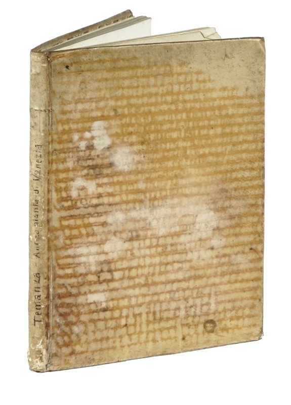 Temanza Tommaso Antica pianta dell'inclita citta di Venezia delineata