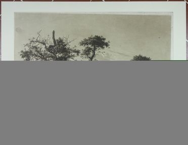  Karl Kuntz  (Mannheim, 1770 - Karsruhe, 1830) : Paesaggio agreste.  Paulus Potter  (Enkhuyzen, 1625 - Amsterdam, 1654)  - Auction Timed Auction: Prints & drawings - Libreria Antiquaria Gonnelli - Casa d'Aste - Gonnelli Casa d'Aste