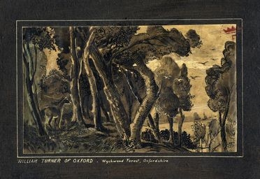  William (of Oxford) Turner  (Oxford, 1789 - 1862) : Wytchwood Forest Oxfordshire.  - Auction Books, Prints and Drawings - Libreria Antiquaria Gonnelli - Casa d'Aste - Gonnelli Casa d'Aste