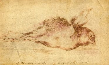  Giuseppe Cammarano  (Sciacca, 1766 - Napoli, 1850) : Il passero morto.  - Auction Paintings, Prints, Drawings and Fine Art - Libreria Antiquaria Gonnelli - Casa d'Aste - Gonnelli Casa d'Aste