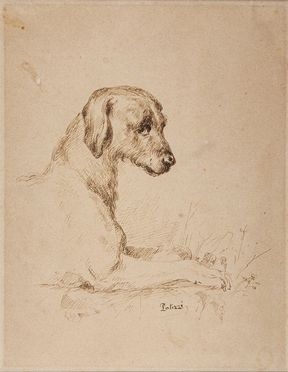  Filippo Palizzi  (Vasto, 1818 - Napoli, 1899) : Cane accucciato.  - Auction Prints, Drawings and Paintings from 16th until 20th centuries - Libreria Antiquaria Gonnelli - Casa d'Aste - Gonnelli Casa d'Aste
