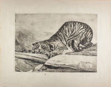  Giulio Aristide Sartorio  (Roma, 1860 - 1932) : Tigre in agguato.  - Auction Prints, Drawings and Paintings from 16th until 20th centuries - Libreria Antiquaria Gonnelli - Casa d'Aste - Gonnelli Casa d'Aste