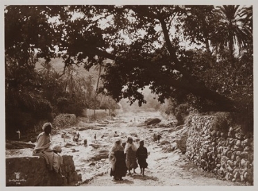  Lehnert & Landrock  (attivi a Tunisi, ) : Tunisia. Veduta di oasi con donne e bambini nei pressi di un ruscello.  - Asta Fotografie storiche - Libreria Antiquaria Gonnelli - Casa d'Aste - Gonnelli Casa d'Aste