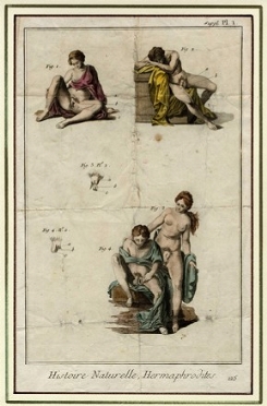  Charles-Joseph Panckoucke  (Lilla, 1736 - Parigi, 1798) : Hermaphrodites.  - Auction 	Ancient, modern and contemporary art - Libreria Antiquaria Gonnelli - Casa d'Aste - Gonnelli Casa d'Aste