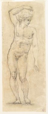 Studio di nudo maschile con braccio alzato.  - Auction Prints, Drawings, Maps and Views - Libreria Antiquaria Gonnelli - Casa d'Aste - Gonnelli Casa d'Aste