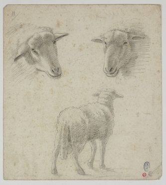  Francesco Londonio  (Milano, 1723 - 1783) [attribuito a] : Studi di pecora.  - Auction Timed Auction: Prints & drawings - Libreria Antiquaria Gonnelli - Casa d'Aste - Gonnelli Casa d'Aste