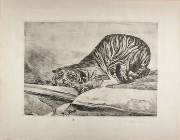  Giulio Aristide Sartorio  (Roma, 1860 - 1932) : Tigre in agguato.  - Asta Manoscritti, Libri, Autografi, Stampe & Disegni - Libreria Antiquaria Gonnelli - Casa d'Aste - Gonnelli Casa d'Aste
