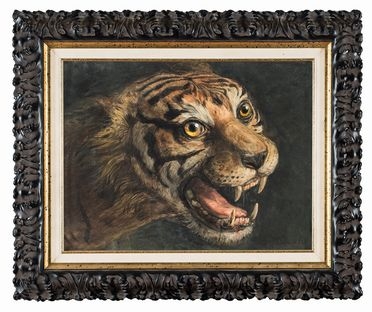  Jan Baptist Tetar van Elven  (Amsterdam, 1805 - Amsterdam, 1879) : Testa di tigre.  - Asta Stampe, Disegni e Dipinti dal XVI al XX secolo - Libreria Antiquaria Gonnelli - Casa d'Aste - Gonnelli Casa d'Aste