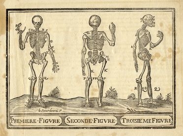  Anonimo del XVII secolo : Les os du corps humain.  - Asta Libri & Grafica - Libreria Antiquaria Gonnelli - Casa d'Aste - Gonnelli Casa d'Aste