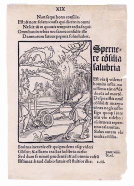  Albrecht Drer  (Norimberga, 1471 - Norimberga, 1528) [scuola di] : Non sequi bona consilia. XIX.  - Asta Libri & Grafica - Libreria Antiquaria Gonnelli - Casa d'Aste - Gonnelli Casa d'Aste