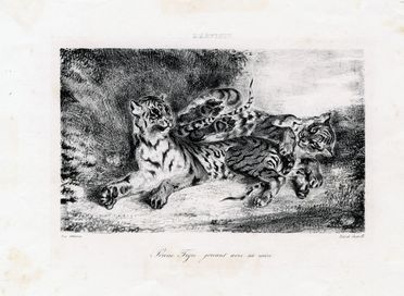  Eugne Delacroix  (Charenton Saint Maurice, 1798 - Parigi, 1863) : Jeune tigre jouant avec sa mre.  - Auction Graphics & Books - Libreria Antiquaria Gonnelli - Casa d'Aste - Gonnelli Casa d'Aste