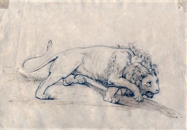  Luigi Sabatelli  (Firenze, 1772 - Milano, 1850) [attribuito a] : Studio di leone.  - Auction Graphics & Books - Libreria Antiquaria Gonnelli - Casa d'Aste - Gonnelli Casa d'Aste