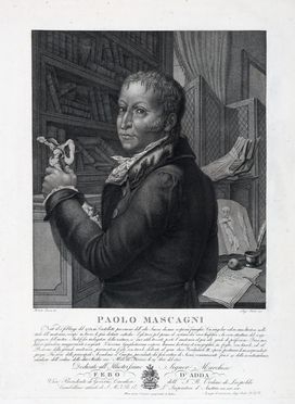  Luigi Rados  (Parma, 1773 - Milano, 1840) : Ritratto di Paolo Mascagni.  - Auction Graphics & Books - Libreria Antiquaria Gonnelli - Casa d'Aste - Gonnelli Casa d'Aste
