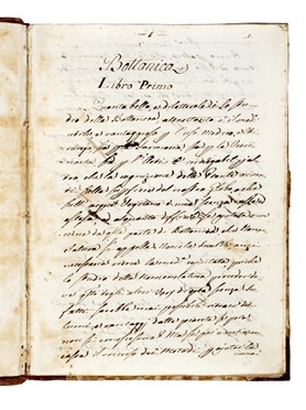  Bartalini Biagio : Trattato di botanica.  - Asta Libri, autografi e manoscritti - Libreria Antiquaria Gonnelli - Casa d'Aste - Gonnelli Casa d'Aste