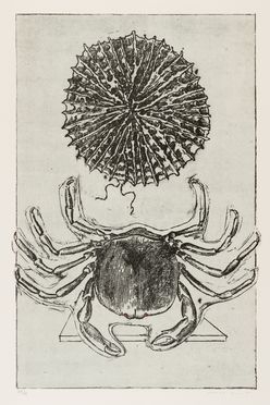  Max Ernst  (Brhl, 1891 - Parigi, 1976) : Histoire naturelle.  - Asta STAMPE E DISEGNI DAL XVI AL XX SECOLO - Libreria Antiquaria Gonnelli - Casa d'Aste - Gonnelli Casa d'Aste