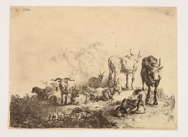 Jan Van Nordt  (Amsterdam, 1620 - Amsterdam, 1676) : Mucche, capre e cane.  - Asta Stampe, disegni, carte geografiche e vedute - Libreria Antiquaria Gonnelli - Casa d'Aste - Gonnelli Casa d'Aste