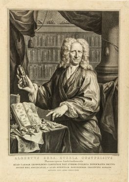  Jacobus Houbraken  (Dordrecht, 1698 - Amsterdam, 1780) : Albertus Seba, Etzela Oostfrisius Pharmacopoeus Amstelodamensis.  - Asta Stampe e Disegni - Libreria Antiquaria Gonnelli - Casa d'Aste - Gonnelli Casa d'Aste