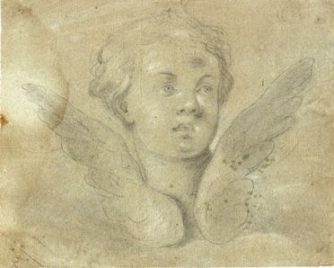  Guido Reni  (Calvenzano di Vergate, 1575 - Bologna, 1642) [scuola di] : Testa di cherubino.  - Asta LIBRI, MANOSCRITTI, STAMPE E DISEGNI - Libreria Antiquaria Gonnelli - Casa d'Aste - Gonnelli Casa d'Aste