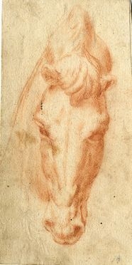  Piero di Giovanni Bonaccorsi (detto Perin del Vaga)  (Firenze, 1501 - Roma, 1547) [cerchia di] : Testa di cavallo.  - Auction BOOKS, MANUSCRIPTS, PRINTS AND DRAWINGS - Libreria Antiquaria Gonnelli - Casa d'Aste - Gonnelli Casa d'Aste